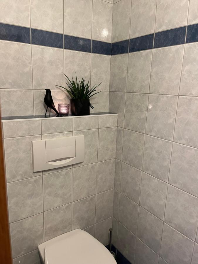 Appartement Stahlhammer Flachau Kültér fotó